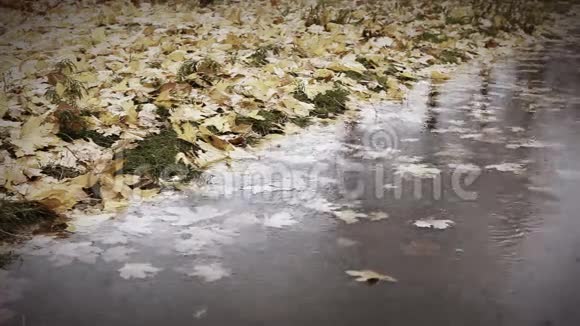 秋天的萼片场景独自一人走在水坑旁视频的预览图