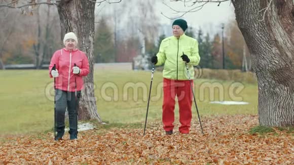秋公园的两位老妇人在北欧散步前做热身运动视频的预览图