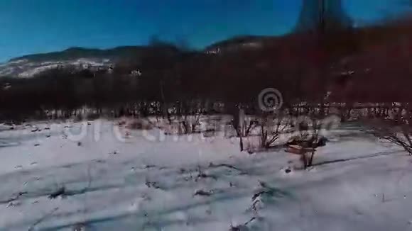 空中冬景高居乡村四周松树林视频的预览图