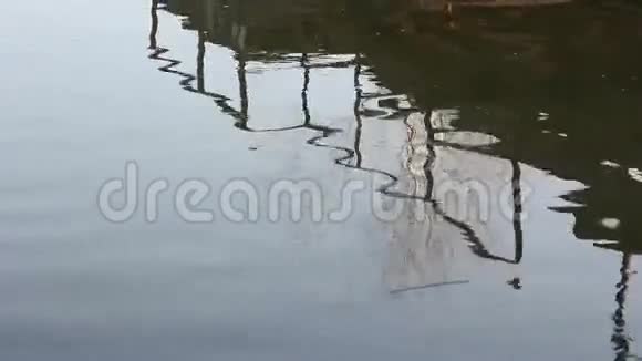 河桥在水中倒影树和太阳视频的预览图