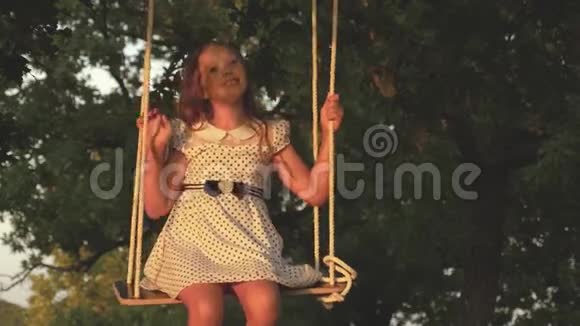 小女孩在阳光下的一棵树下荡秋千和孩子们玩特写镜头孩子骑着绳子在秋千上视频的预览图