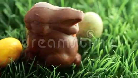 复活节彩蛋和复活节兔子一起落在草地上视频的预览图