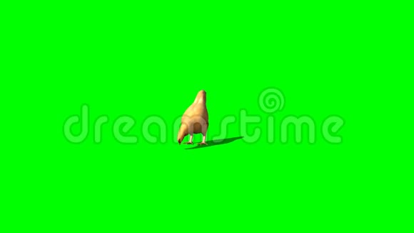 布朗鸡吃4块绿屏视频的预览图