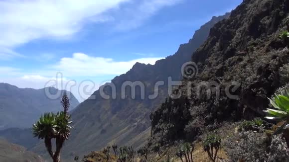 鲁文佐里山脉的景色视频的预览图