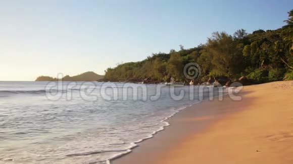 塞舌尔沙滩上的死树视频的预览图