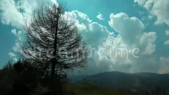 4山中的云和枯树的时间推移视频的预览图