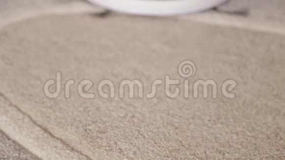 一只黑猫玩机器人吸尘器清洁地板玩机器人吸尘器的宠物视频的预览图
