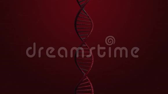 红色DNA延缓慢动作3D动画科学录像4K视频的预览图