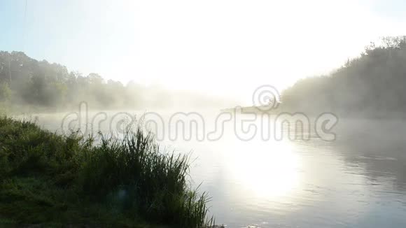 浓雾升流河水清晨日出阳光视频的预览图