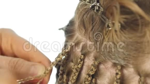 非洲白人女性的传统发型专业的理发师编织辫子视频的预览图