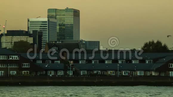 伦敦加那利码头泰晤士河上的海鸥视频的预览图