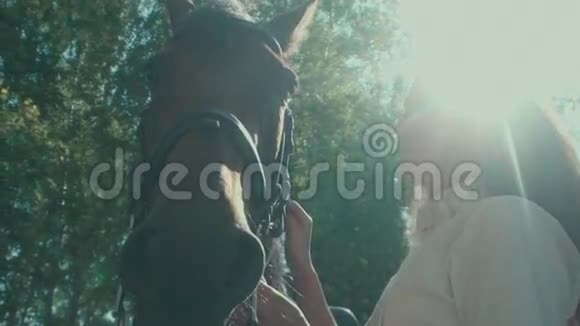 女骑手和马在阳光明媚的森林里女人抚摸着马视频的预览图