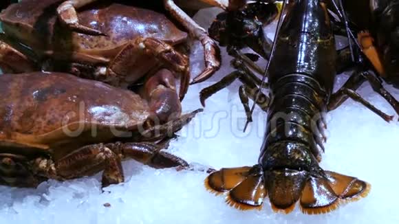 海鲜移动虾大龙虾和螃蟹在柜台市场海鲜在市场拉利亚在巴塞罗那视频的预览图