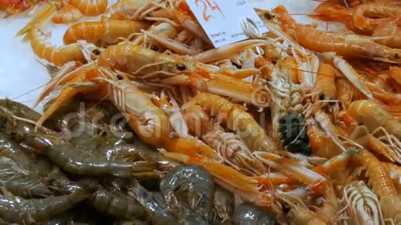 海鲜移动虾大龙虾和螃蟹在柜台市场海鲜在市场拉利亚在巴塞罗那视频的预览图