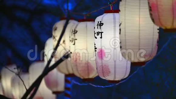 日本东京樱花节的灯笼视频的预览图