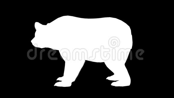 一只移动的熊的白色轮廓阿尔法频道阿尔法冰铜全高清视频的预览图