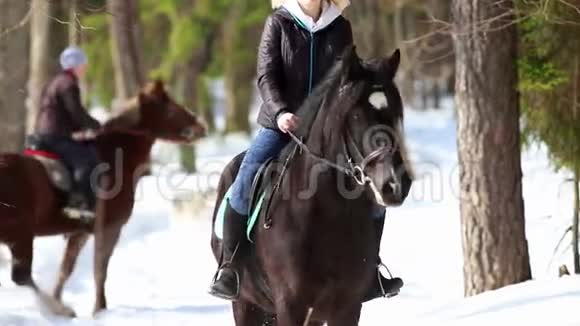 一个女人在森林里骑着一匹深棕色的马视频的预览图