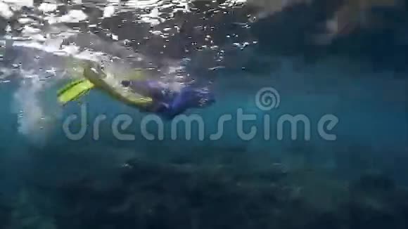 游泳者水下射击视频的预览图