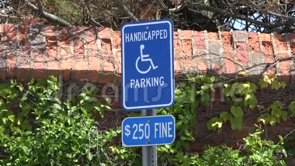 残疾停车标志警告交通法规视频的预览图