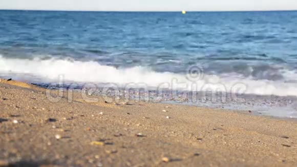 赤脚女孩在沙滩上散步视频的预览图