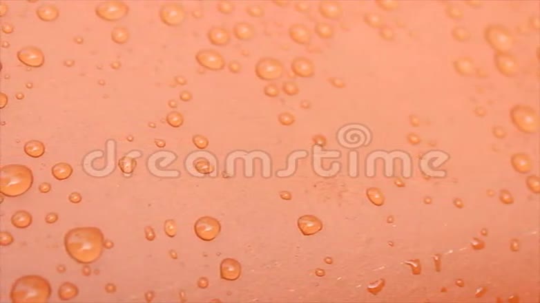 露水滴在红色的背景上视频的预览图