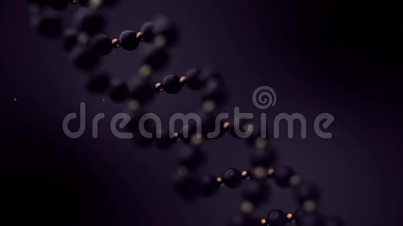在深紫色背景上旋转的模糊紫色DNA链的抽象动画生物技术概念视频的预览图