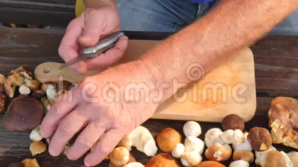 男人用菜刀仔细清洗野生蘑菇手拿蘑菇从茎中取出粘土或根视频的预览图