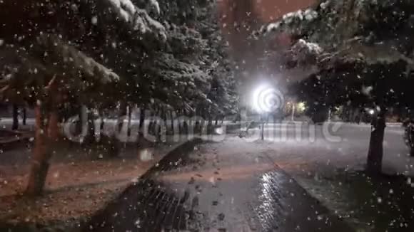 在第一场雪期间在城市公园散步这是一个美丽的夜晚城市景观视频的预览图