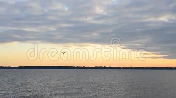 鸟儿在日落或黎明时飞过水面视频的预览图