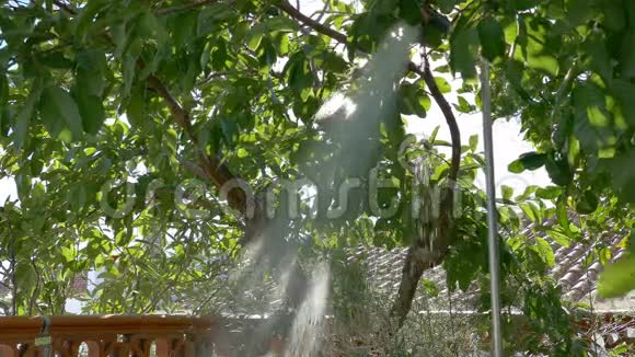 花园里的淋浴在树荫下视频的预览图