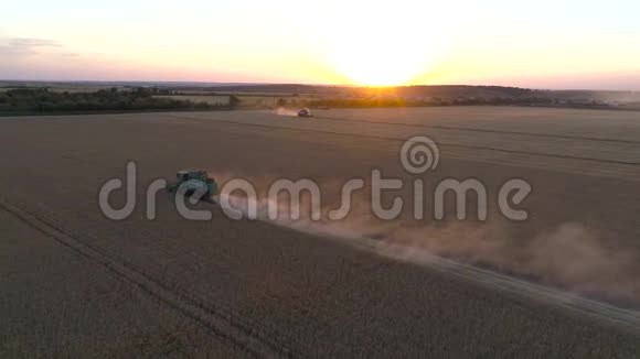 日落时分无人机收割机在麦田里工作视频的预览图