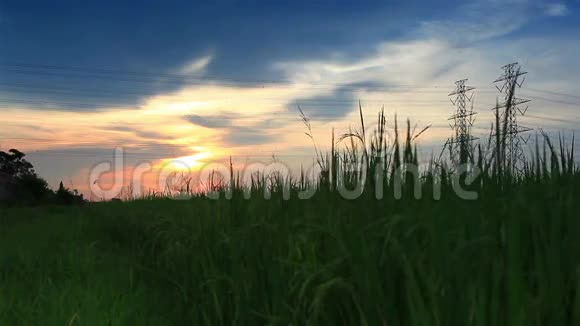 电线杆高压塔和天空日落在米绿色的锉刀视频的预览图