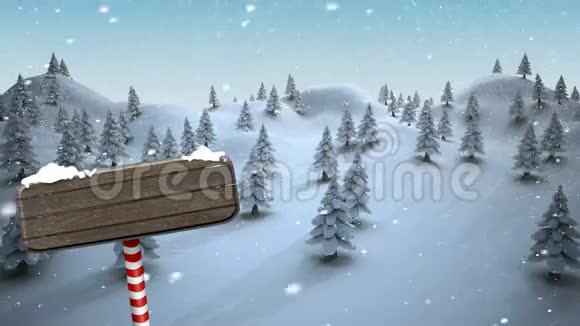 白雪覆盖的松树动画视频的预览图