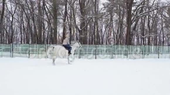 骑马的女骑师在围场里走动她完成了小跑多云宁静的冬日下了点雪慢动作脚视频的预览图