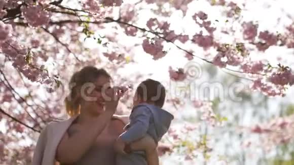 年轻的妈妈抱着她的小儿子孩子在盛开的樱花树下飘落的粉红色花瓣和视频的预览图