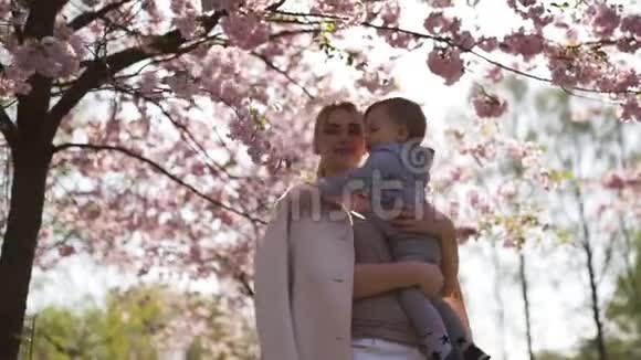 年轻的妈妈抱着她的小儿子在樱花盛开的樱花树下飘落的粉红色花瓣和视频的预览图