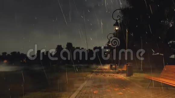 秋夜空公园步道大雨倾盆视频的预览图