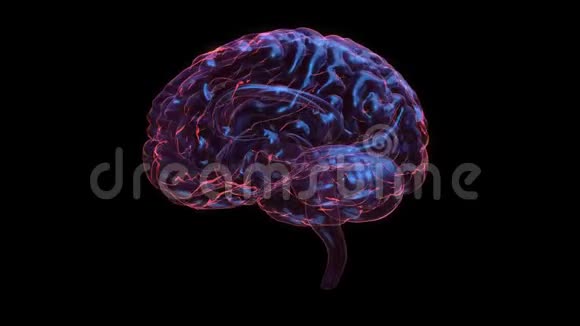 大脑三维动画平面设计阿尔法玻璃背景脑显示和旋转与MRI扫描的创造力视频的预览图