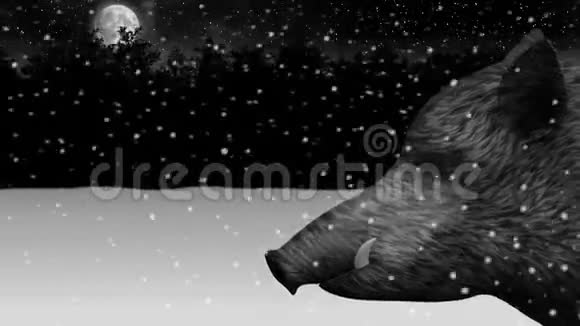 夜雪冬林野猪动画视频的预览图