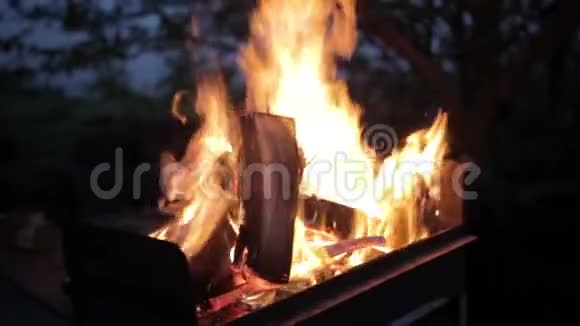 在海滩营地用木头烧火视频的预览图
