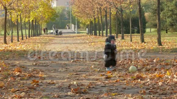 美丽的宝宝在秋天公园玩孩子穿着一套西装戴着一顶帽子戴着一条围巾这个男孩大约是一个视频的预览图