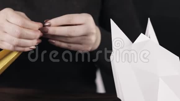 剪纸绘图仪纸独角兽视频的预览图