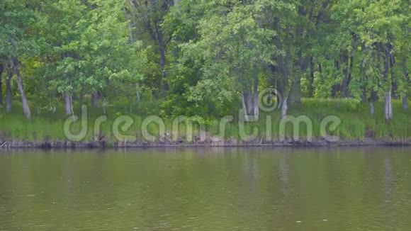河或湖的景色视频的预览图