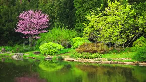 美丽的日本花园和池塘视频的预览图
