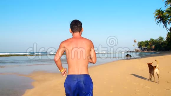 穿蓝色短裤的肌肉运动员沿着沙质海岸线奔跑视频的预览图