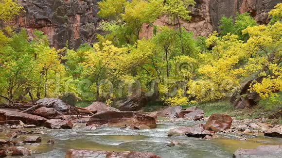 锡安峡谷圣母河雨天视频的预览图