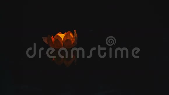 一个花形的彩纸灯笼漂浮在水面上视频的预览图