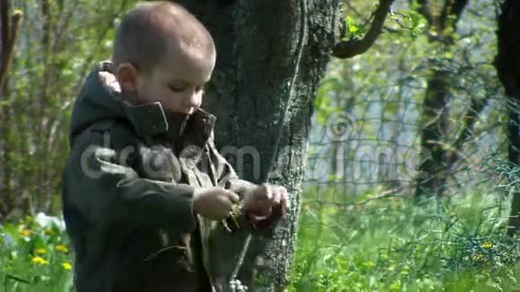 小男孩在后院玩草02视频的预览图