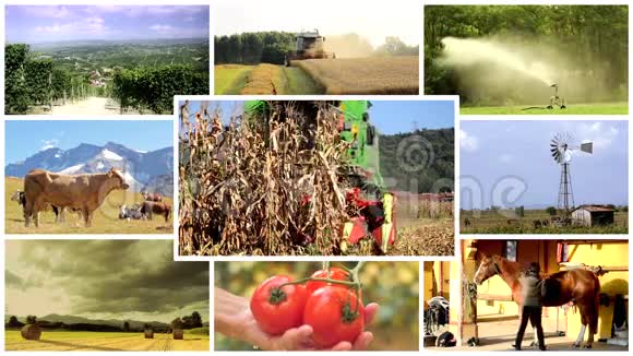 乡村生活与农耕蒙太奇视频的预览图