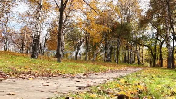秋天的小巷红黄的叶子和新鲜的空气视频的预览图